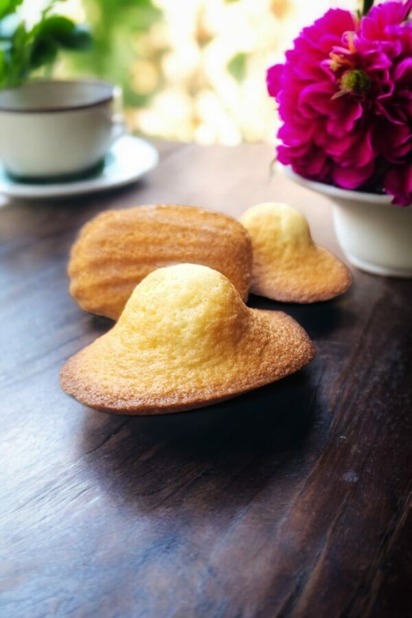 Madeleines